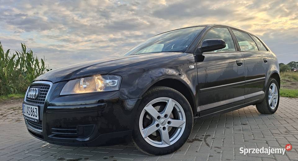 Audi a3 8p Sportback 19tdi 105 2007 Audi Chełmno
