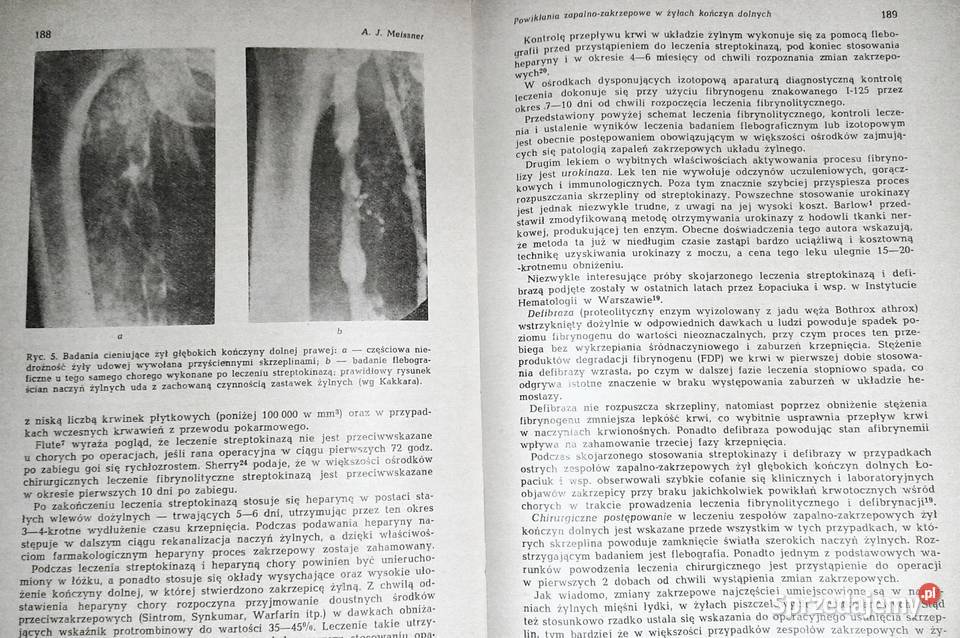 Problemy współczesnej chirurgii i anestezjologii Chełm sprzedam