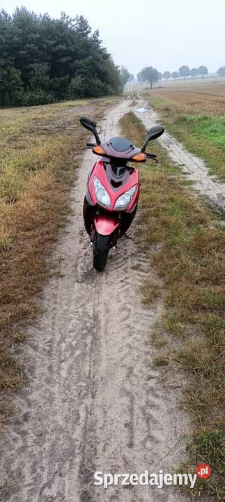 Naprawa wielkopolskie