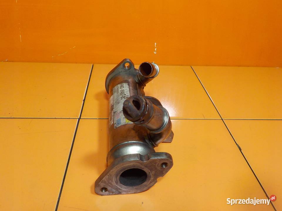 RANGE ROVER VOGUE L322 36 V8 TD 08r chlodnica Recyrkulacja spalin EGR sprzedam