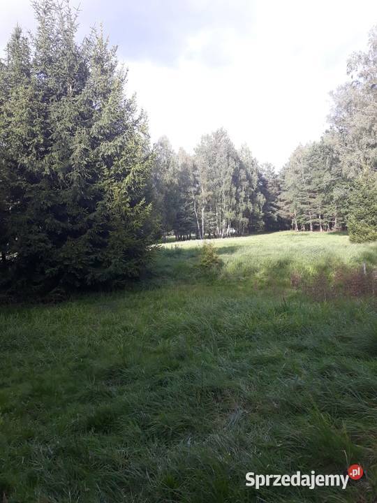dom do sprzedania siatka Lubsza