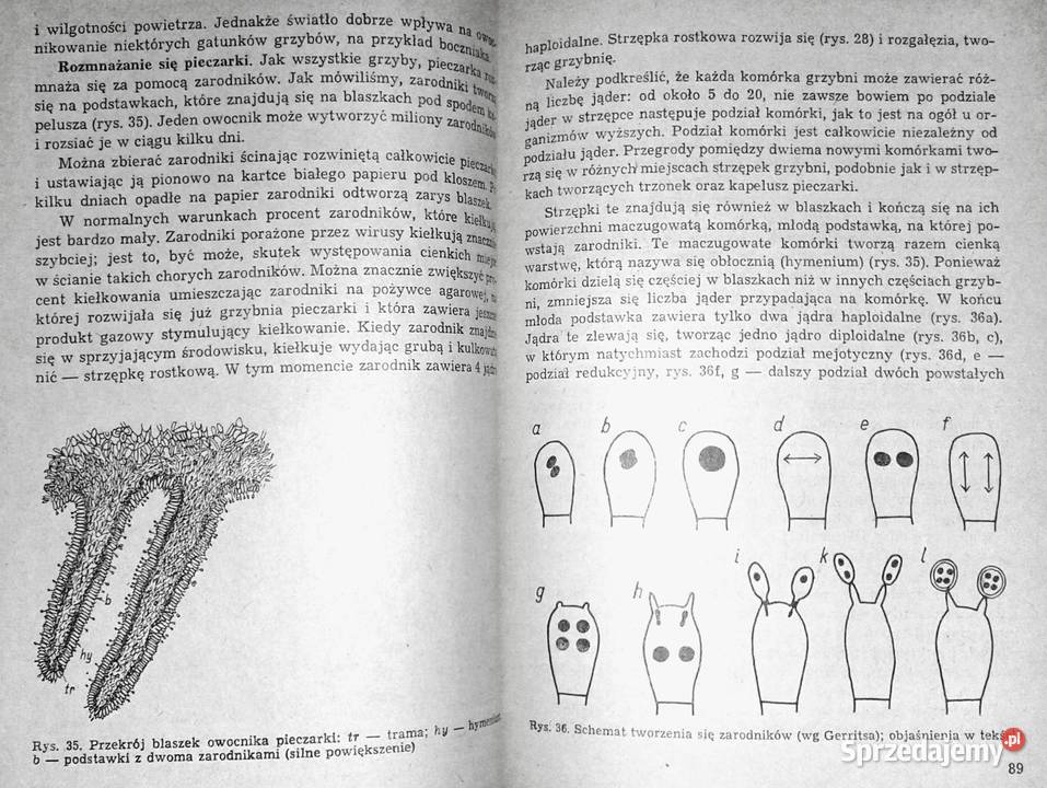 Nowoczesna uprawa pieczarki PJC Vedder Książki i Podręczniki Chełm