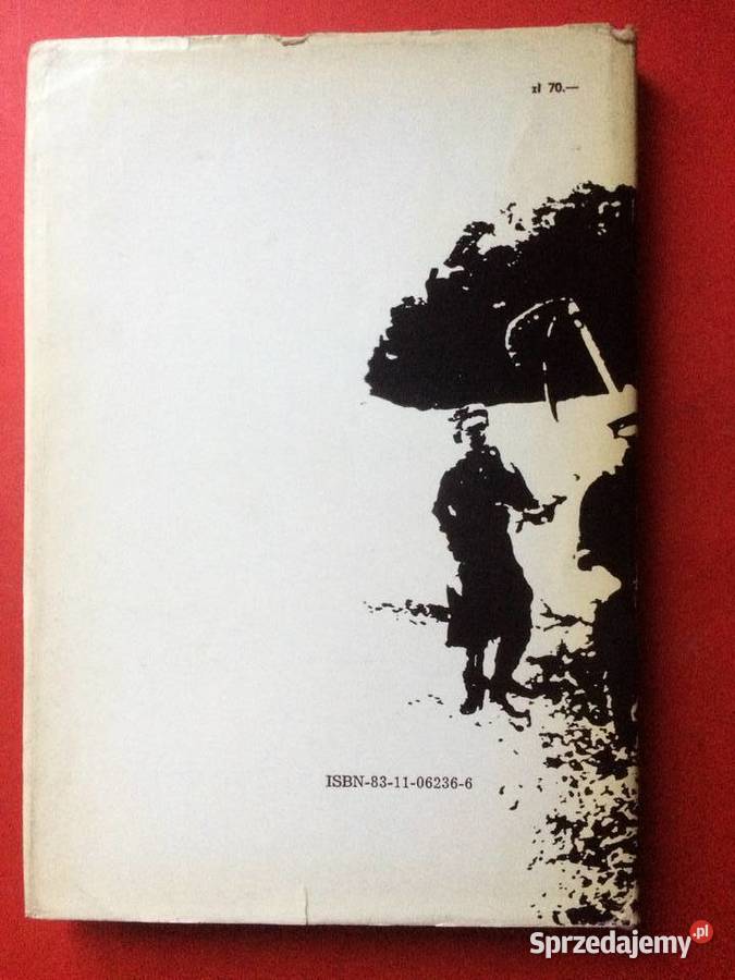 3167 Odrą I Bałtykiem Szczecin