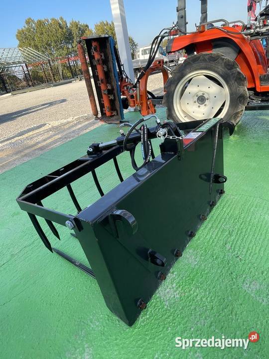 Krokodyl Cayman 12m świętokrzyskie Staszów