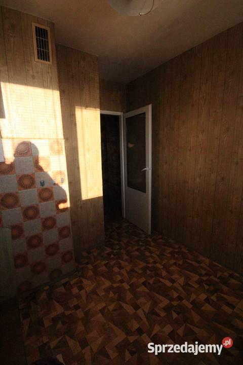 2pok 38met Zaułku Browarnego PIWNICAWINDA dolnośląskie Wrocław