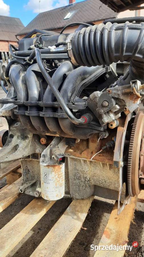 Silnik kompletny 97 13 A9JA Ford Fiesta mk6 dolnośląskie Dębno