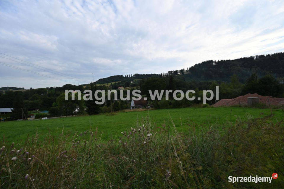 działka budowlana w Ludwikowicach Sprzedaż Ludwikowice Kłodzkie
