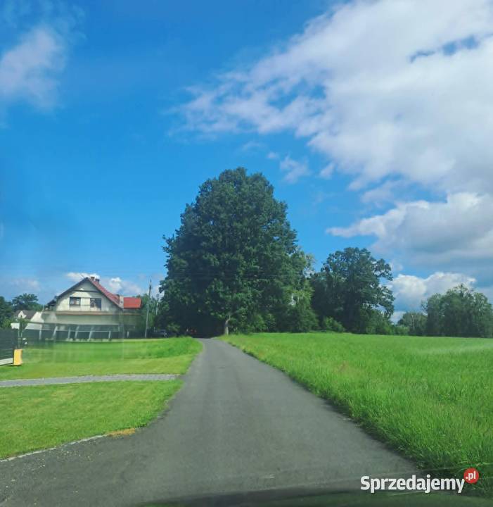 DZIAŁKA BUDOWLANA WARSZOWICE GM PAWŁOWICE Sprzedaż sprzedam