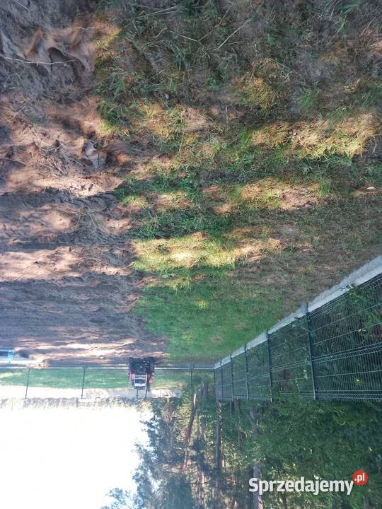 Regeneracja trawnika seperacyjna Włoszczowa