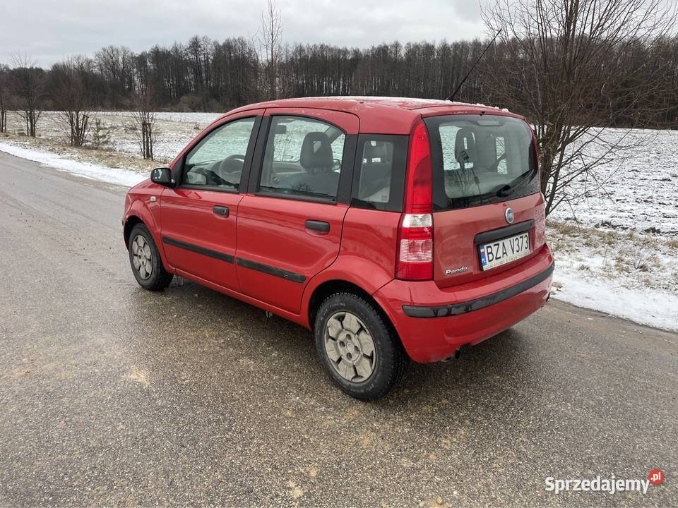 Fiat Panda 11 benzLPG 2004r Salon Zdrowe Progi Panda Rutki-Kossaki