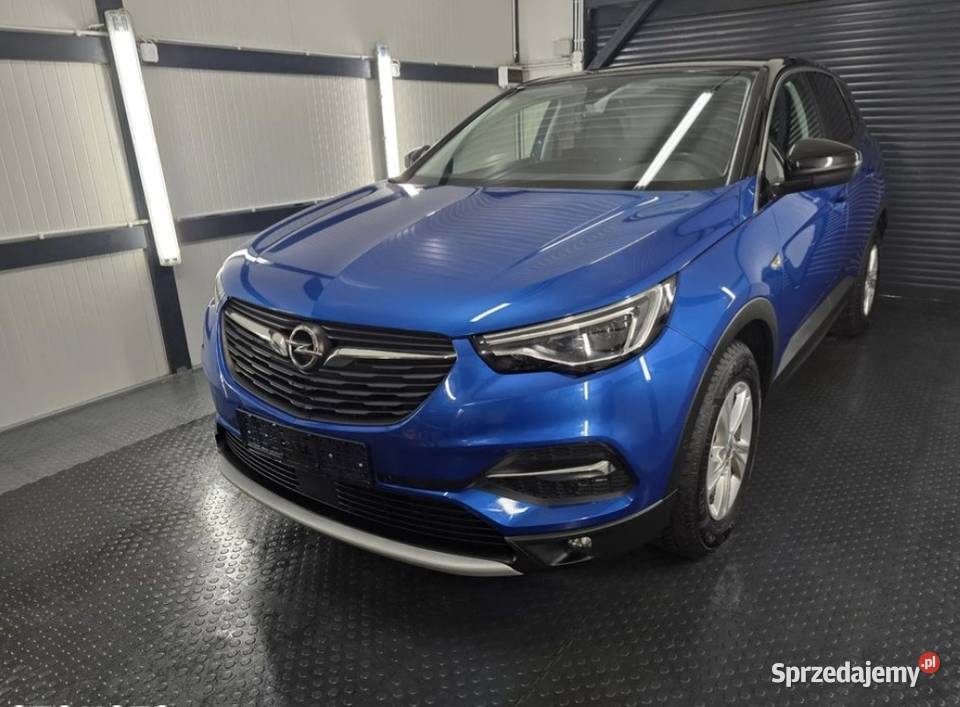 Opel Grandland X wielkopolskie Piła