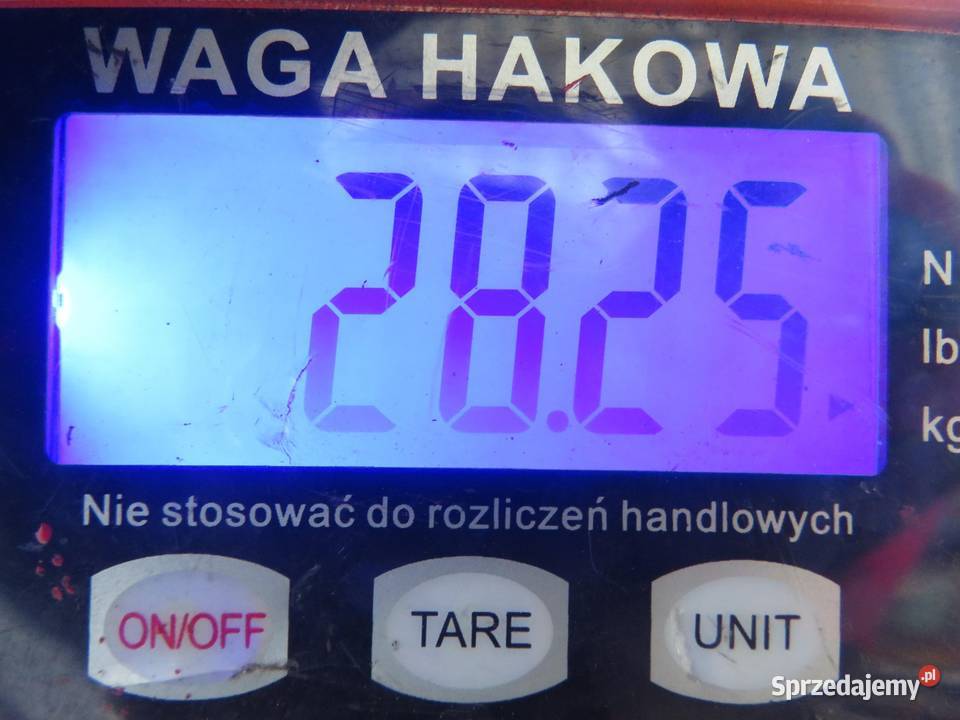 SANKI PRZÓD CITROEN C8 20 HDi Belki zawieszenia