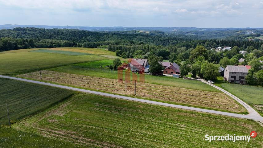 sprzedaży gruntu 2300m2 Broniszów asfalt podkarpackie