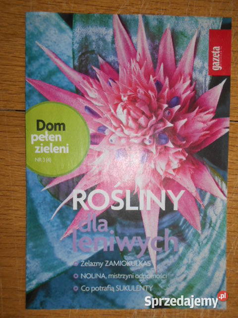 Dom pełen kwiatów Rośliny leniwych 3 4