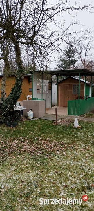 Działka ROD rekreacyjna Pabianice