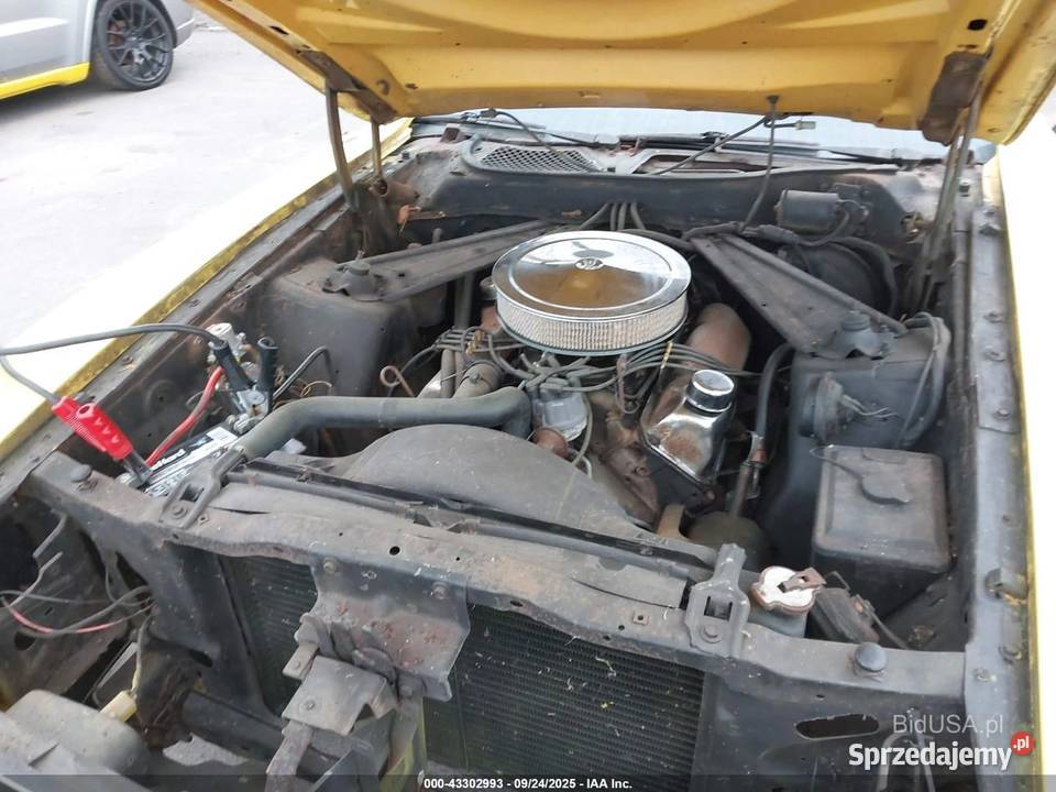 Ford Mustang Mach1 51235km Starogard Gdański sprzedam