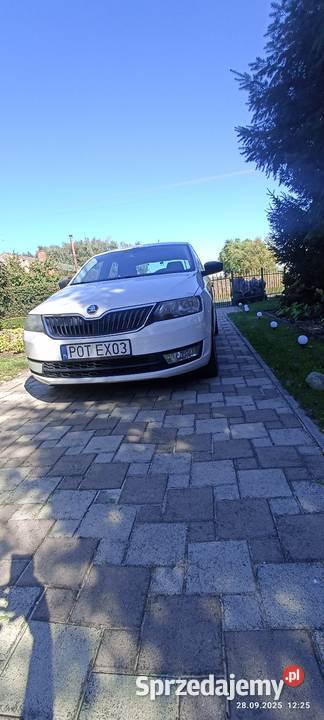 Skoda rapid Wrocław