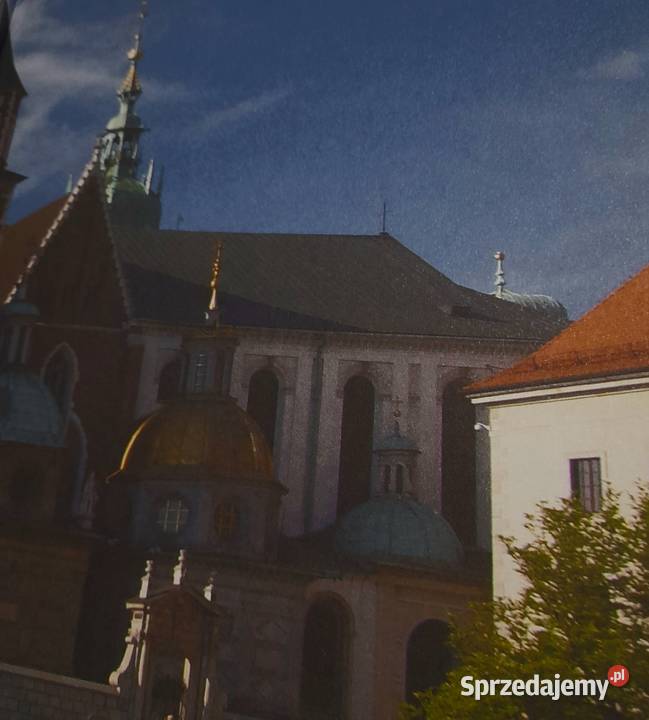 Album Zabytki UNESCO w Polsce Stan idealny ISBN 9788377400319 Jarosław