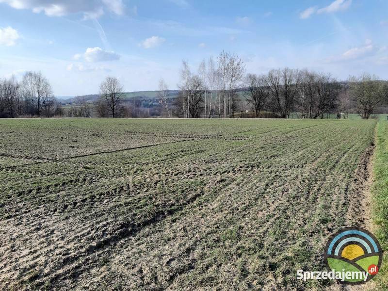 Brzoskwinia gm Zabierzów widokowa 77arowa