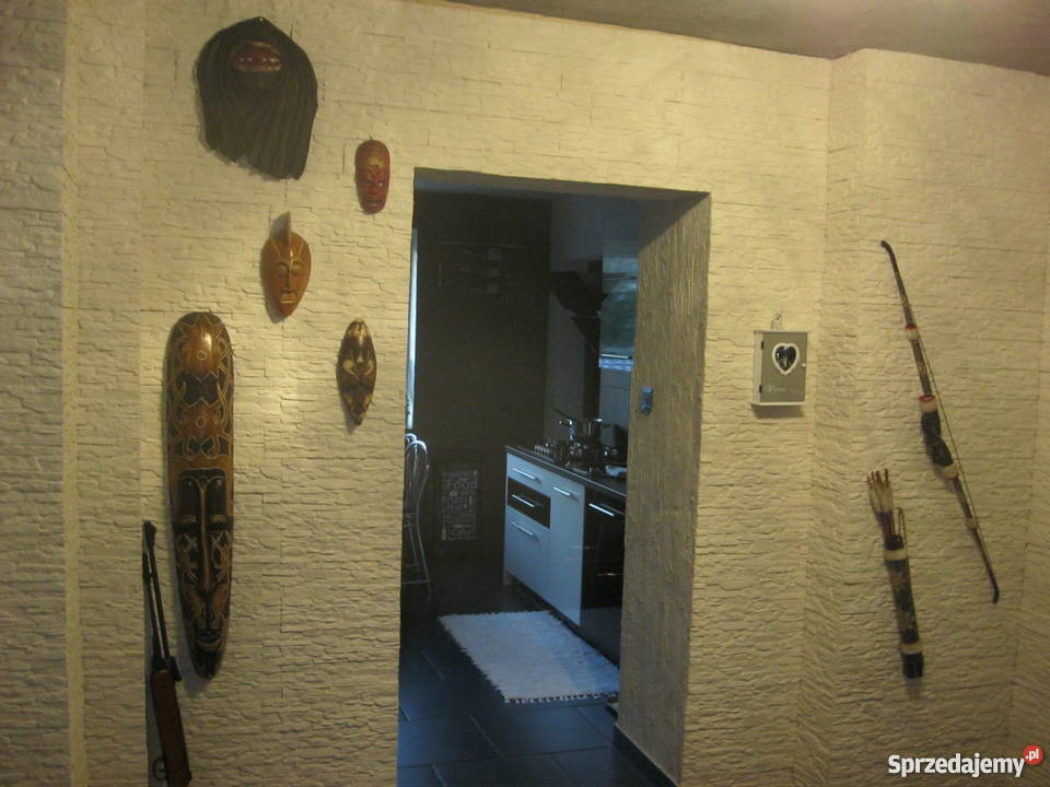 Kamień dekoracyjny Naścienny Płytki ścienne wielkopolskie Leszno