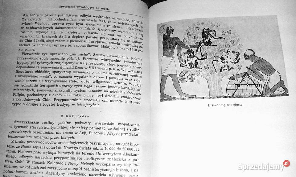 Spadkobiercy Opowieść o człowieku Ritchie Calder