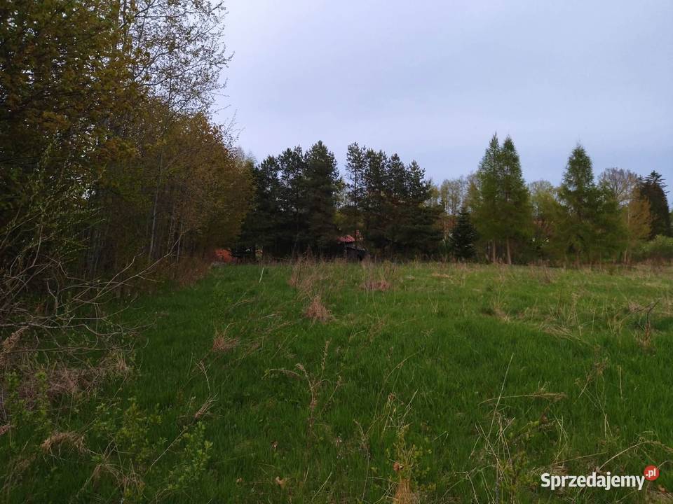 Działka budowlana z dostępem do linii brzegowej budowlana