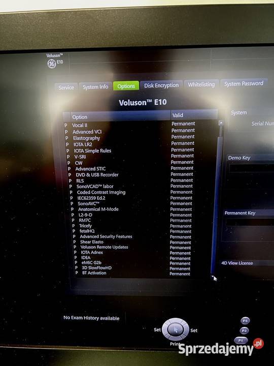 GE Healthcare Voluson E10 sprzedam