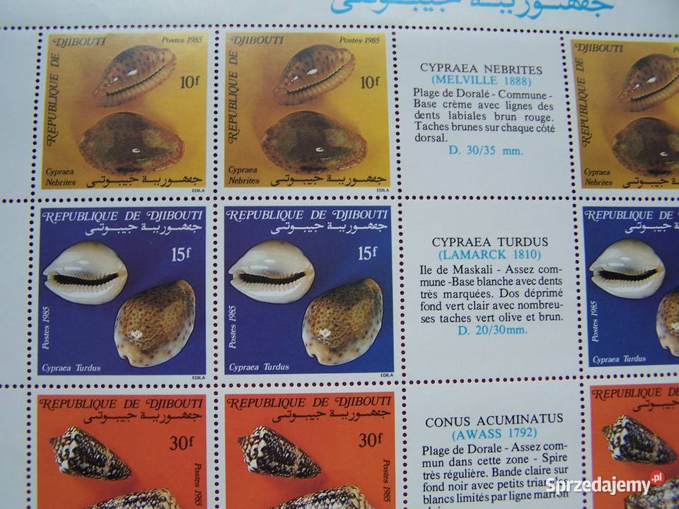 Dżibutti 1985 MNH Mi 44751 Fauna Ślimaki Muszle Tychy