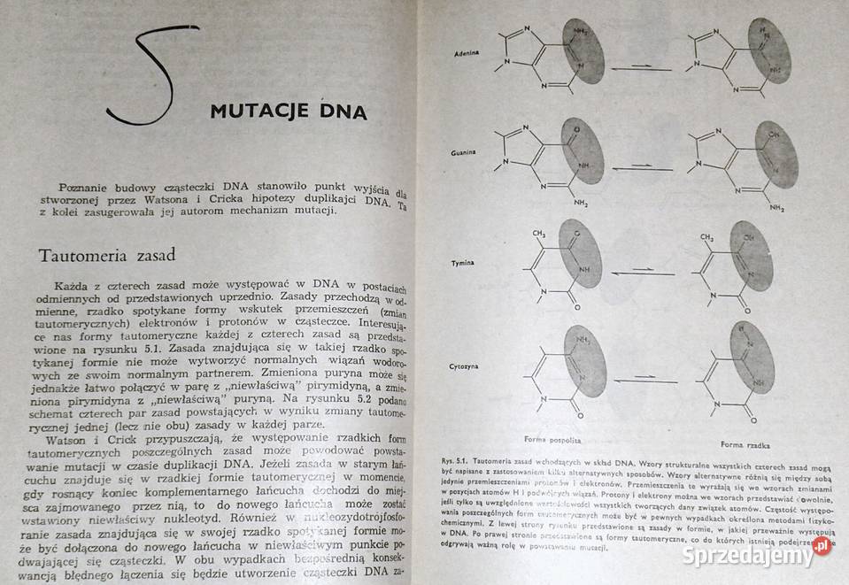 Mechanizmy dziedziczenia Franklin W Stahl lubelskie Chełm