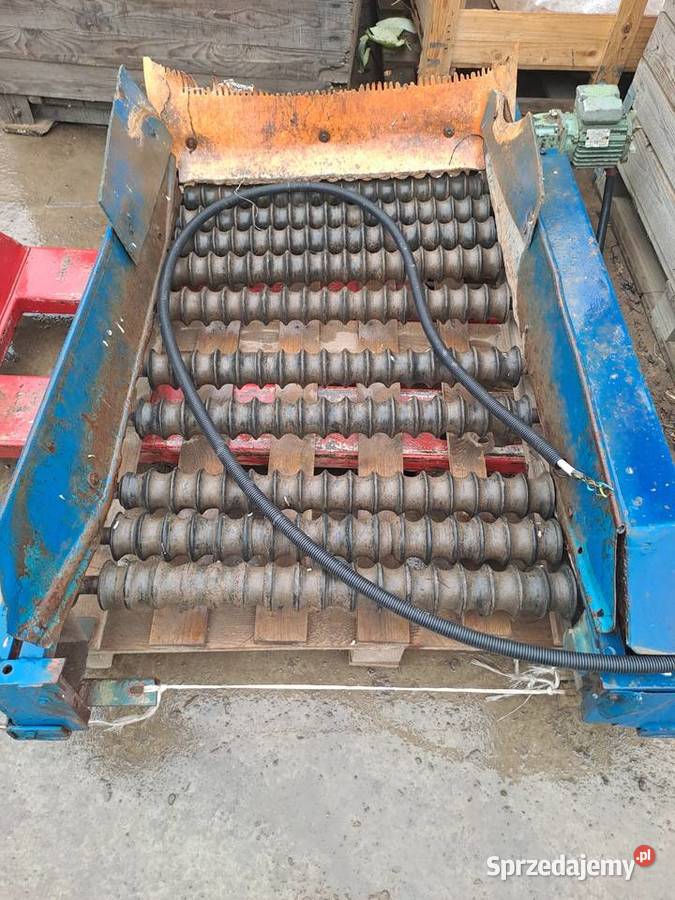 Sortownik rolkowy do ziemniaków i warzyw Maciowakrze