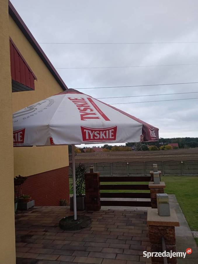 Ławy piwne drewno