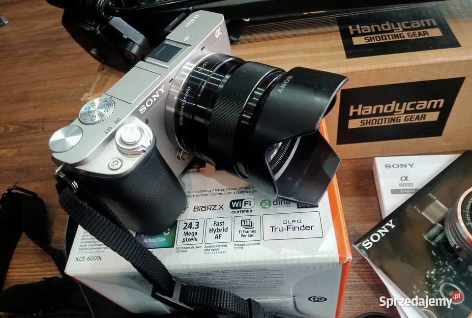 Sony Alpha A6000 ILCE6000L przebieg 7537 Dąbcze