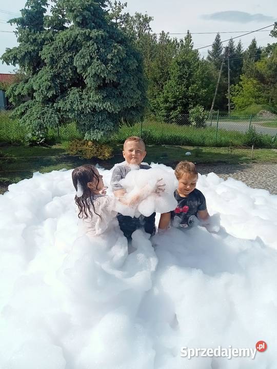 PIANA PARTY WYNAJM dolnośląskie Grodziszcze