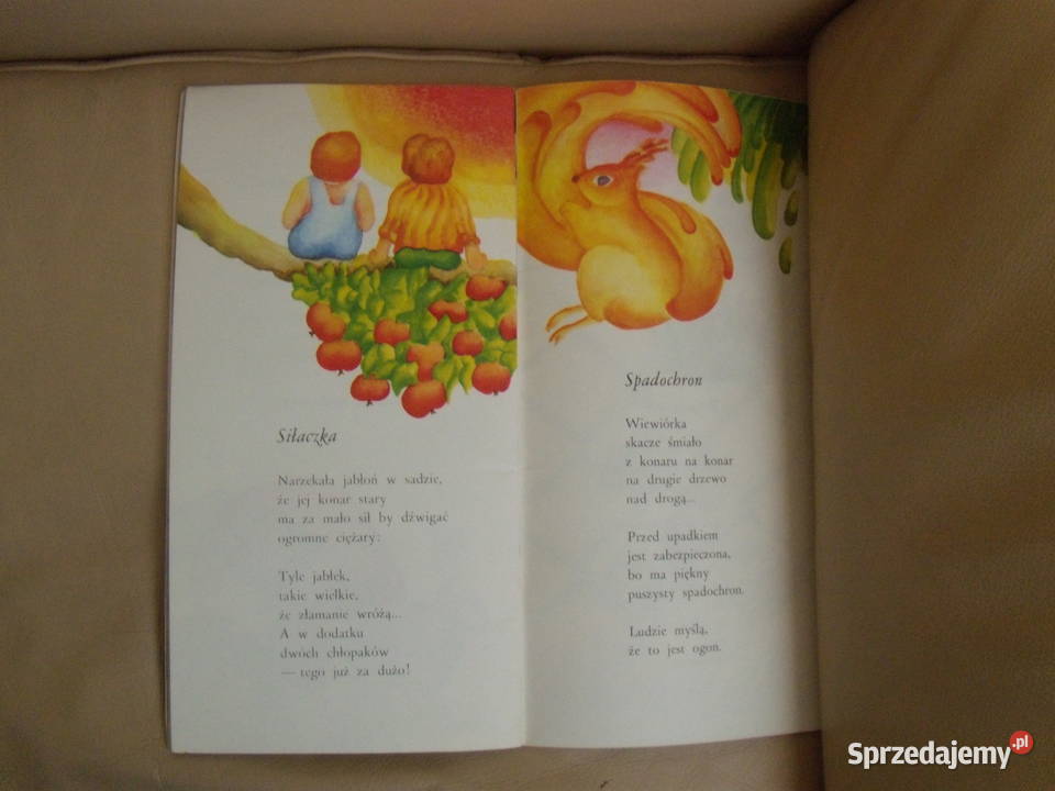 Makówka i wiatr Wincenty Faber Książki dla dzieci Warszawa