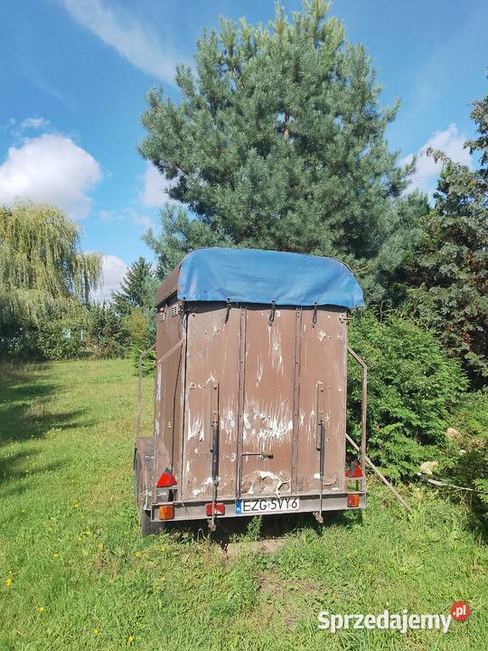 Przyczepa do koni bydła nieuszkodzony Rolnictwo sprzedam