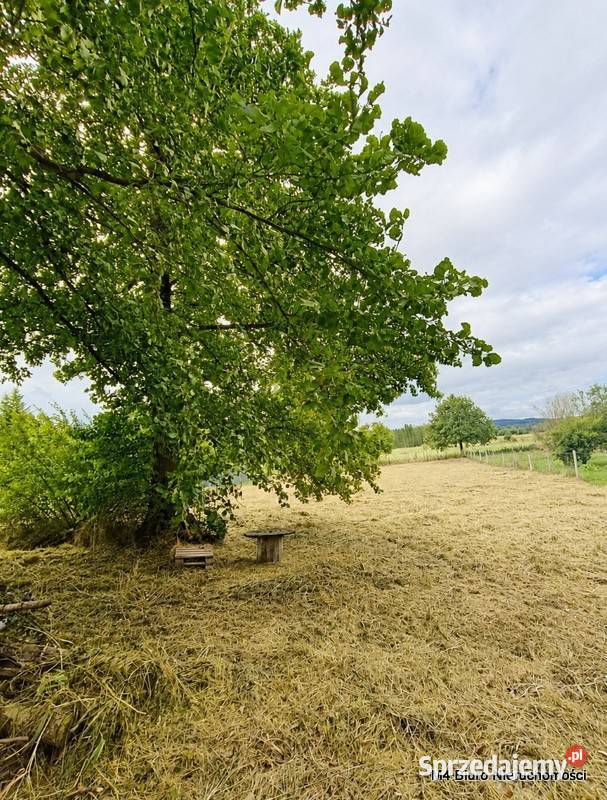 OBNIŻAMY CENĘDZIAŁKA W DOBIESZYNIE POD BUDOWE Dobieszyn