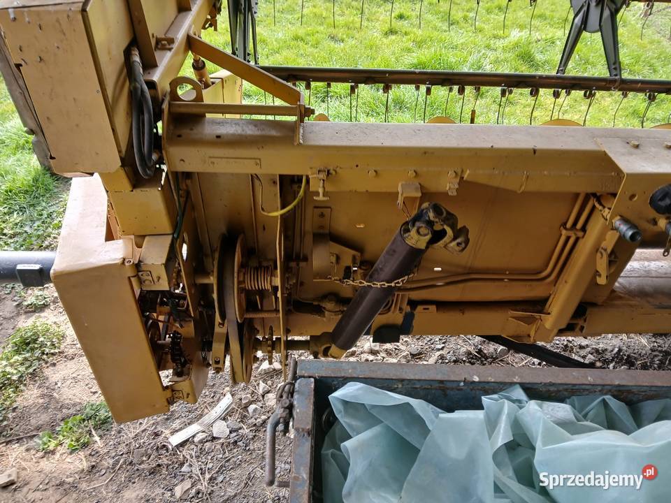 Heder Holland małopolskie Charsznica sprzedam