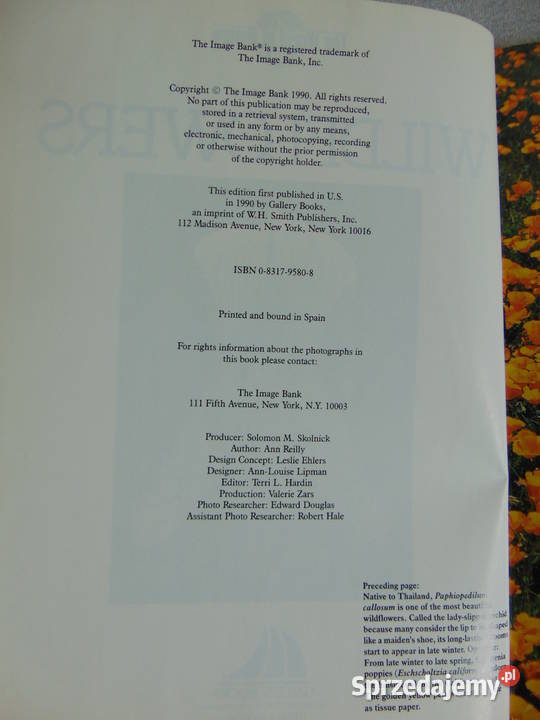 Album Wild Flowers Ann Reilly lubelskie