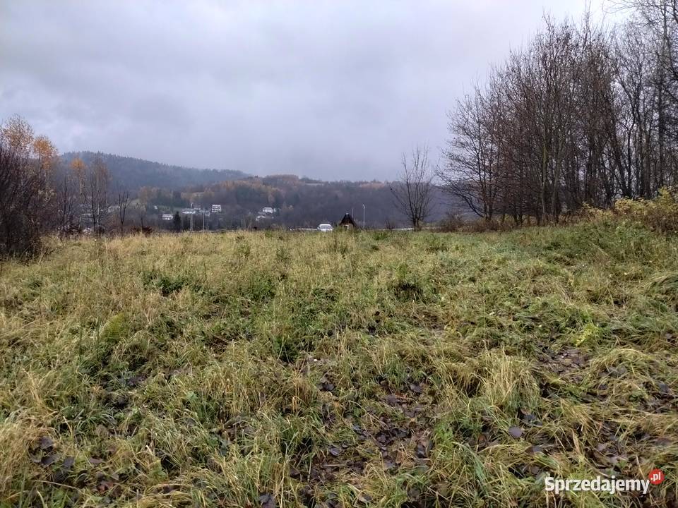 Sprzedam działę Pozostałe Zboiska