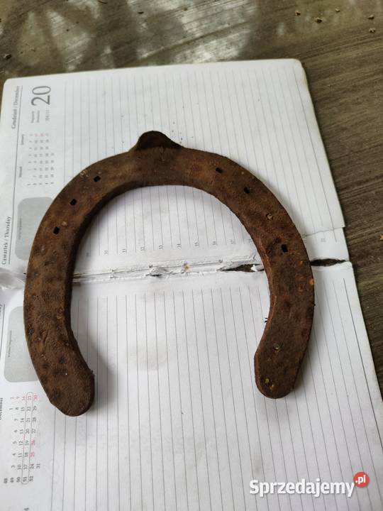 Podkowa pełna szczęścia Kalisz