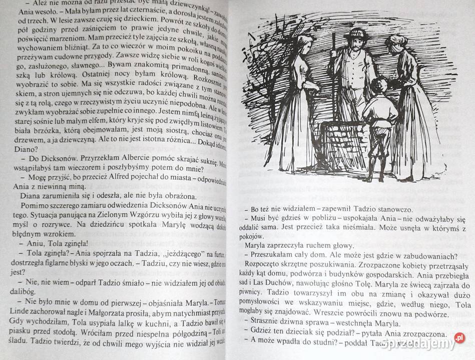 Ania z Avonlea Lucy Maud Montgomery Chełm