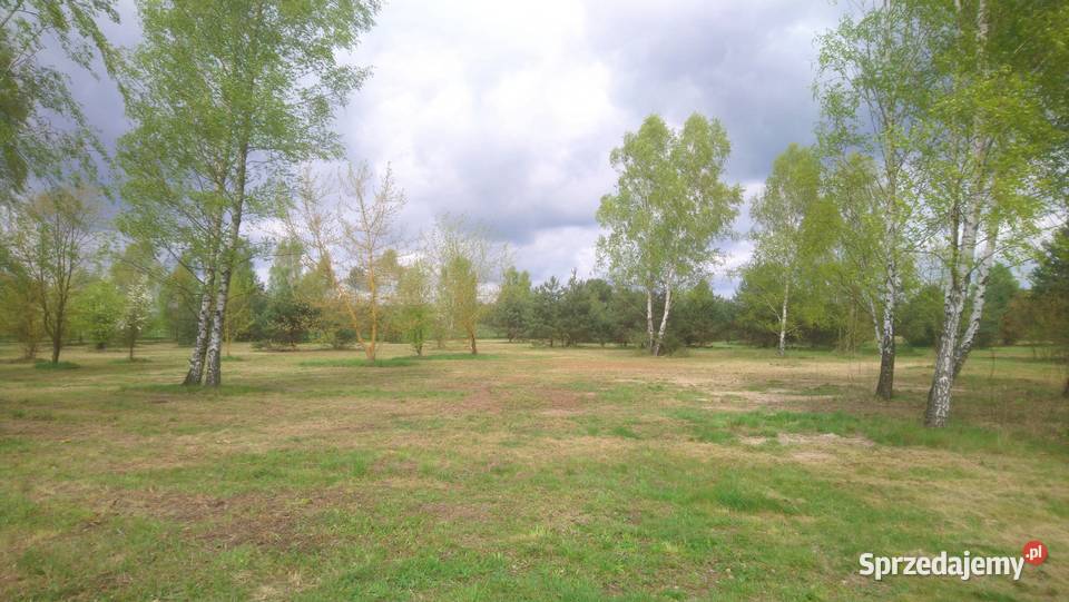 Sprzedam działkę budowlaną o pow 1000m2 z Nieruchomości Popielżyn-Zawady