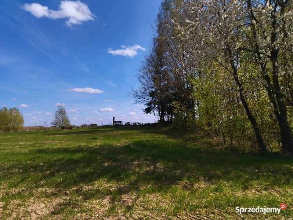 Działka budowlana na mazurach