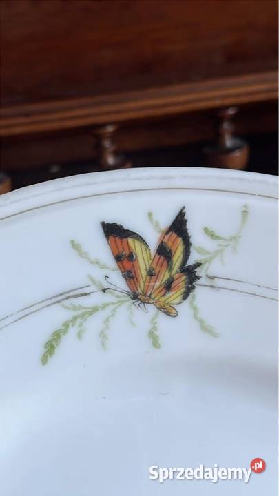 Patera z motylem i kwiatami Biała porcelanka 95 Gdańsk sprzedam