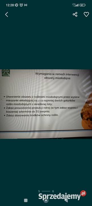 zapylanie upraw facelia nostrzyk ogórecznik podlaskie Łomża