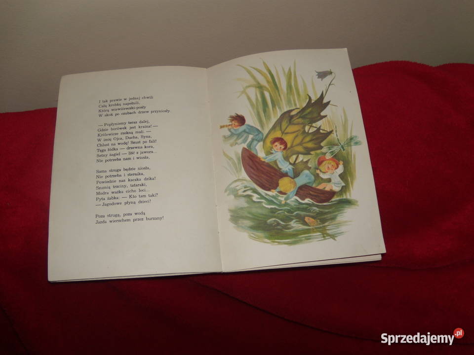 Książka Na jagody Maria Konopnicka mazowieckie Warszawa