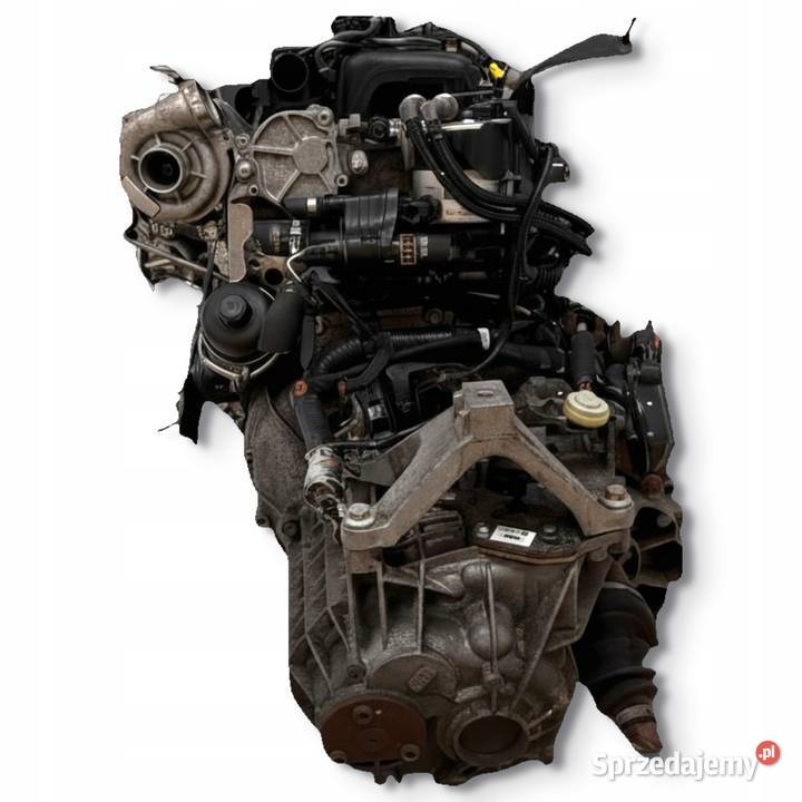 SILNIK G8DB Ford Focus II MK2 C 16 TDCI 109 Chełm