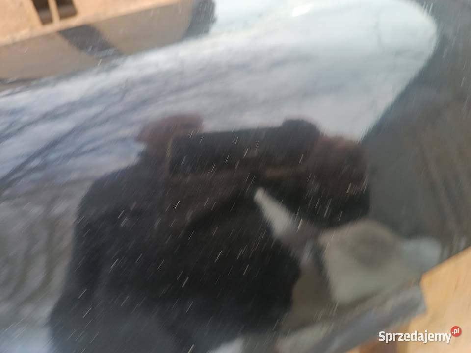 Błotnik Prawy Przód VW Passat B5 FL 0305 Czarny łódzkie Błaszki sprzedam
