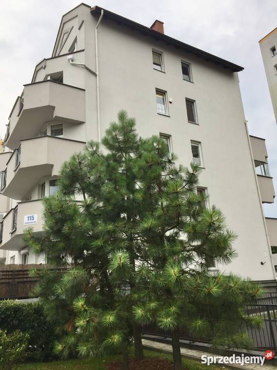 zadbana kawalerka na Tarchominie w nowym oddzielna kuchnia Warszawa