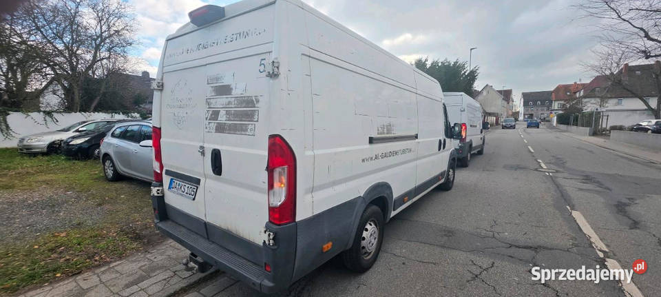 Citroen jumper maxi Rędziny